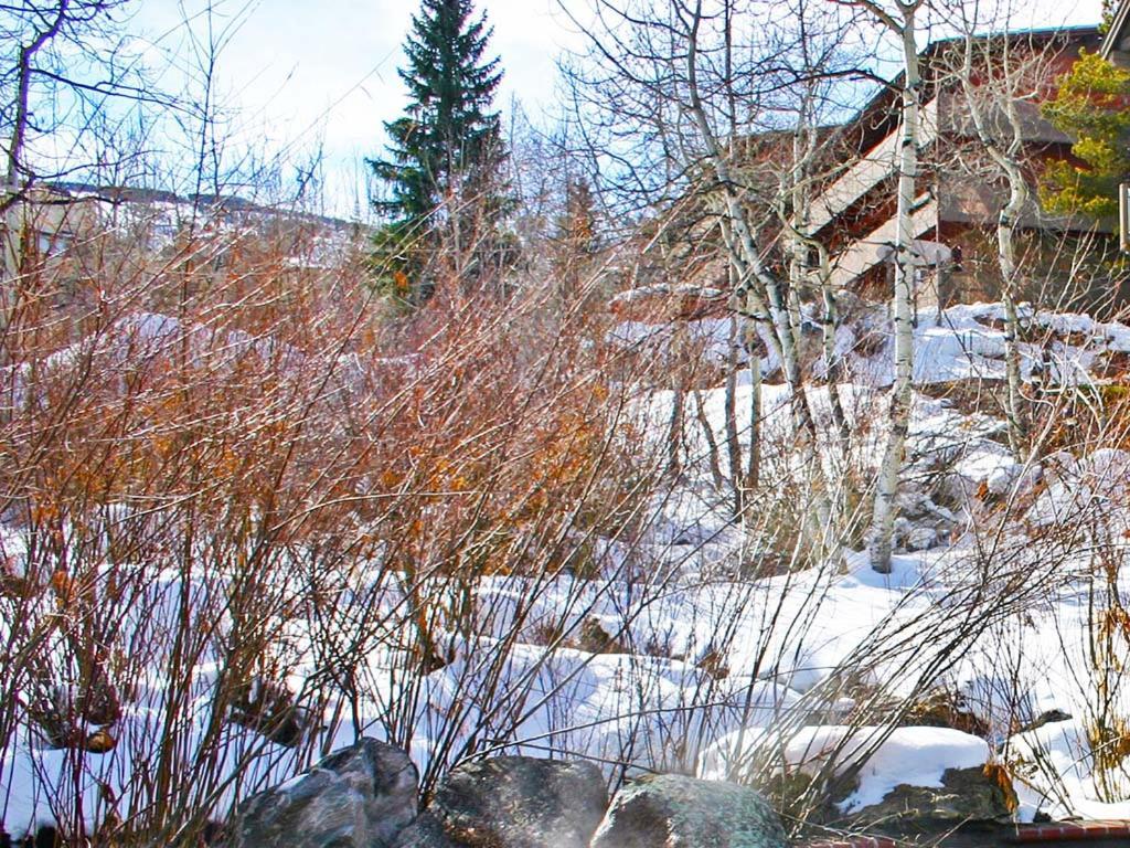 Terracehouse By Snowmass Vacations * Snowmass Village