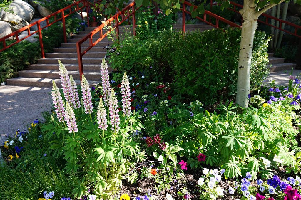 The Enclave At Snowmass *