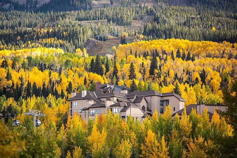 Ski-in, Ski-out Spacious In A Perfect Locale, Next To Gondola And Close To