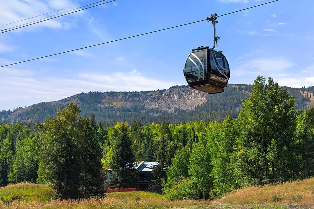 Enclave 207, Snowmass Ski-in/ski-out W/shared Pool/hot Tub