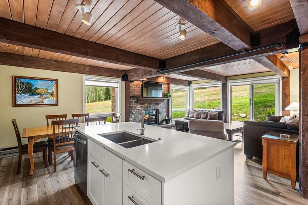 Enclave 103, Snowmass Ski-in/ski-out W/shared Pool/hot Tub *