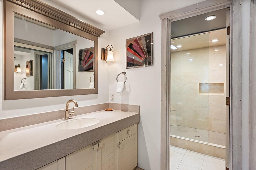 Enclave 205, Snowmass Ski-in/ski-out W/shared Pool/hot Tub/gym/wifi Holiday home Snowmass Village
