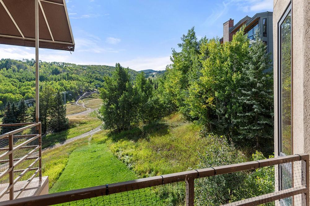 Chamonix 41, Snowmass Ski-in/ski-out W/washer/dryer/free Wifi
