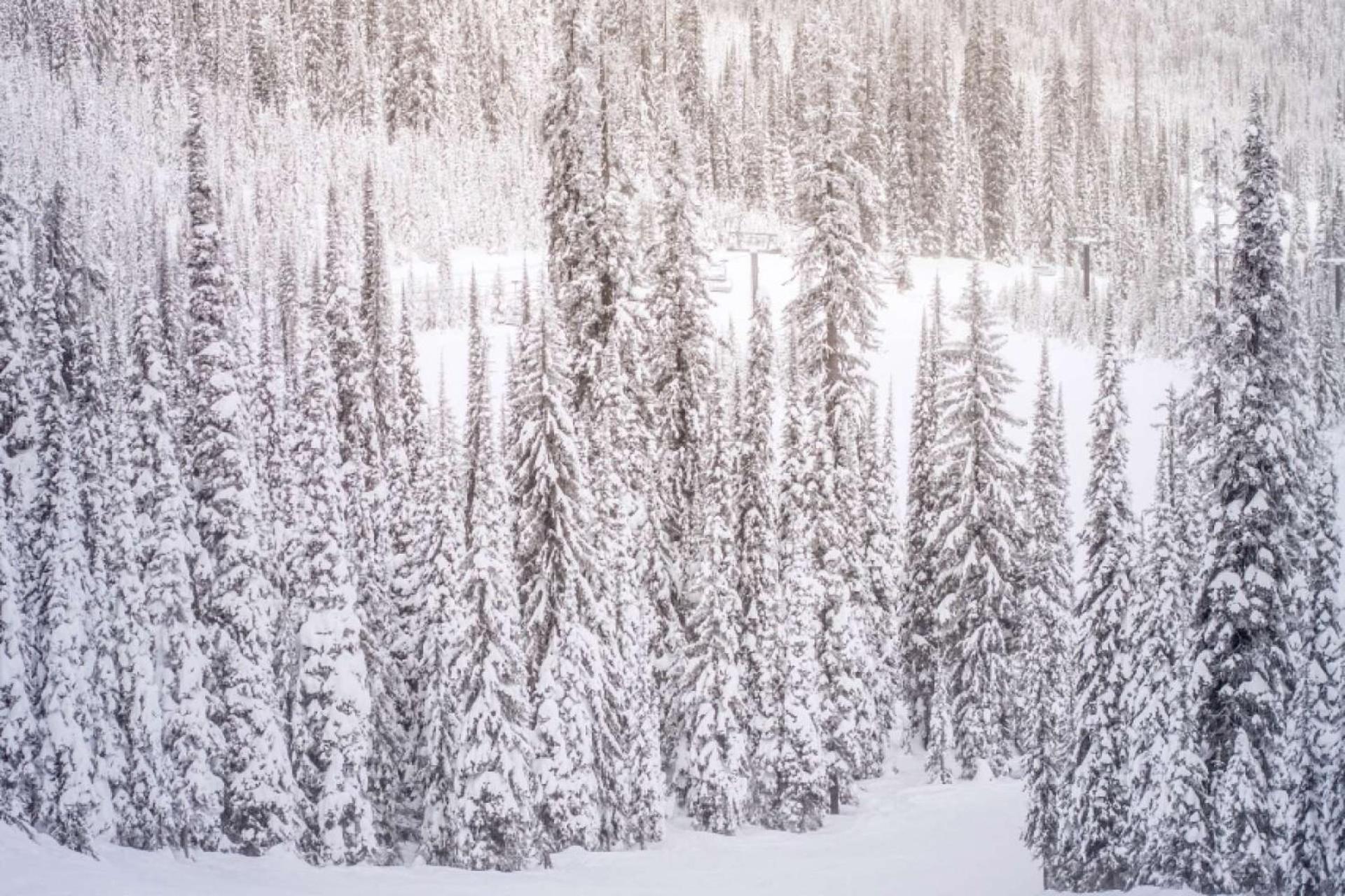 Woodbridge 34 C Snowmass Village
