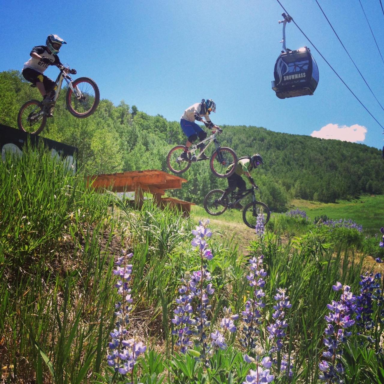 Alpine Luxury Designer Snowmass Mountain * Snowmass Village
