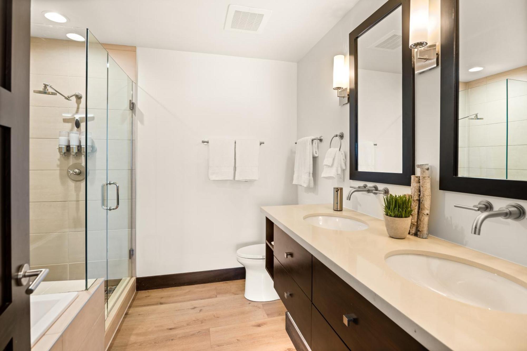 Alpine Luxury Designer Snowmass Mountain