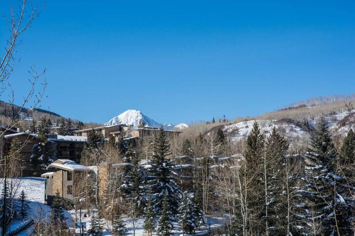 Snowmass Summit Sanctuary Premier Mountain Holiday home