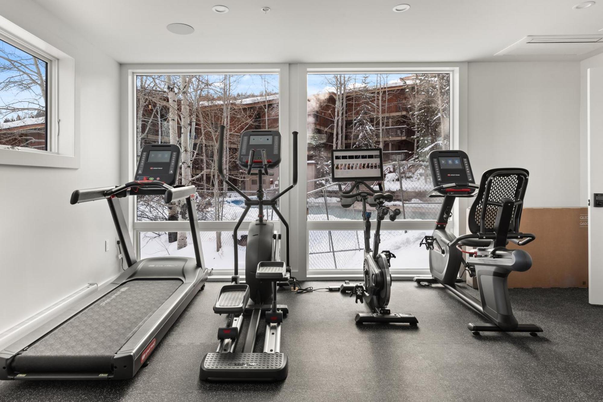 Enclave 309, Snowmass Ski-in/ski-out W/shared Pool/hot Tub/private Washer/dryer/gym/wifi Holiday home Snowmass Village