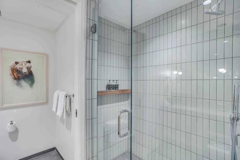 Electric Pass 105 By Snowmass Mountain Apartment *