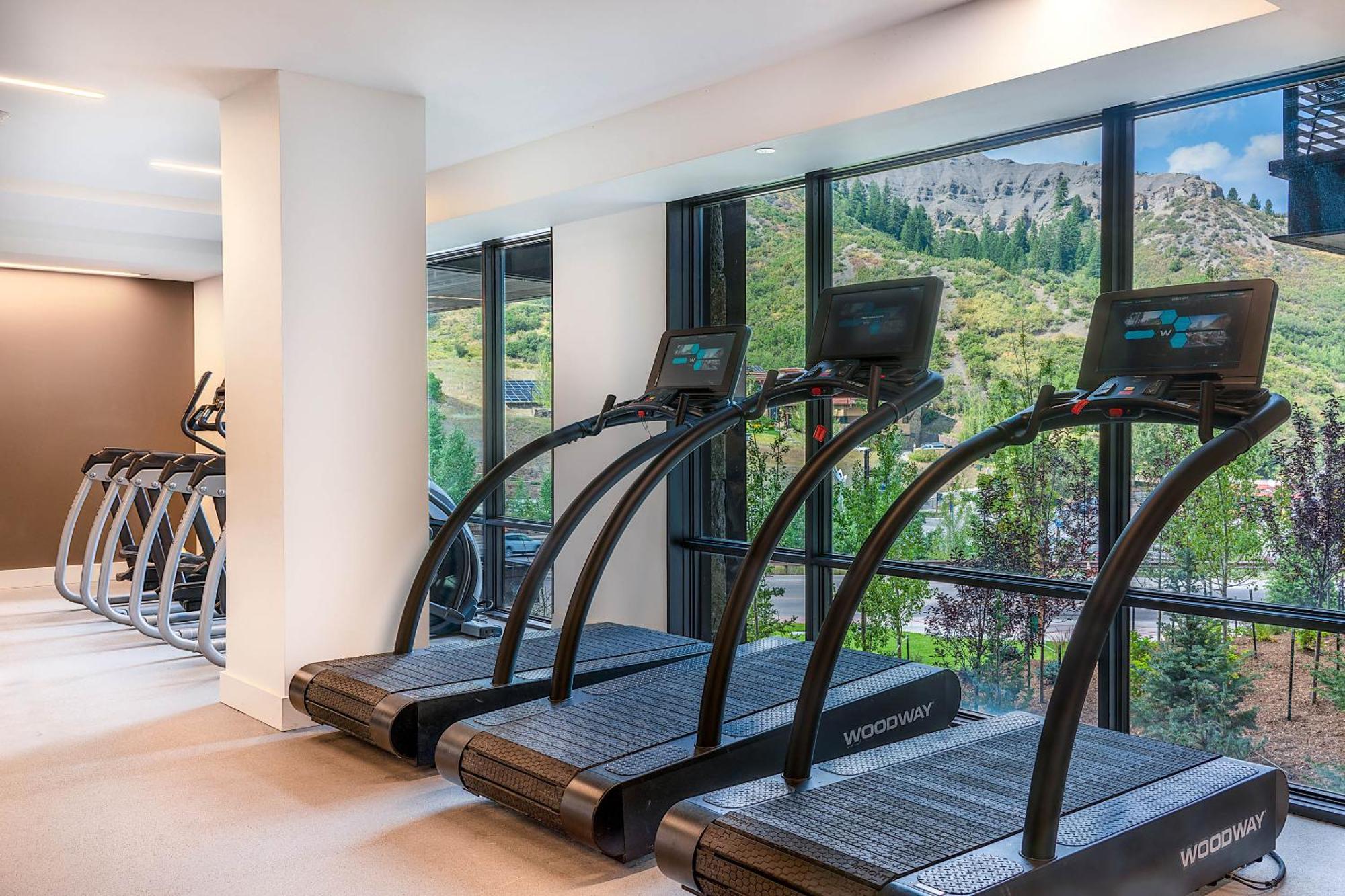 Apartment Electric Pass 202 By Snowmass Mountain