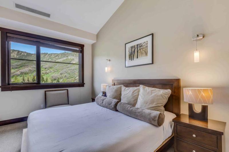 Hayden 2303 By Snowmass Mountain *