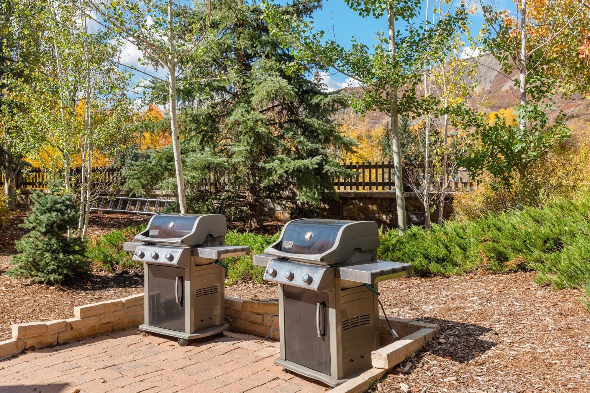 Alpine Elegance Premier In Snowmass * Snowmass Village