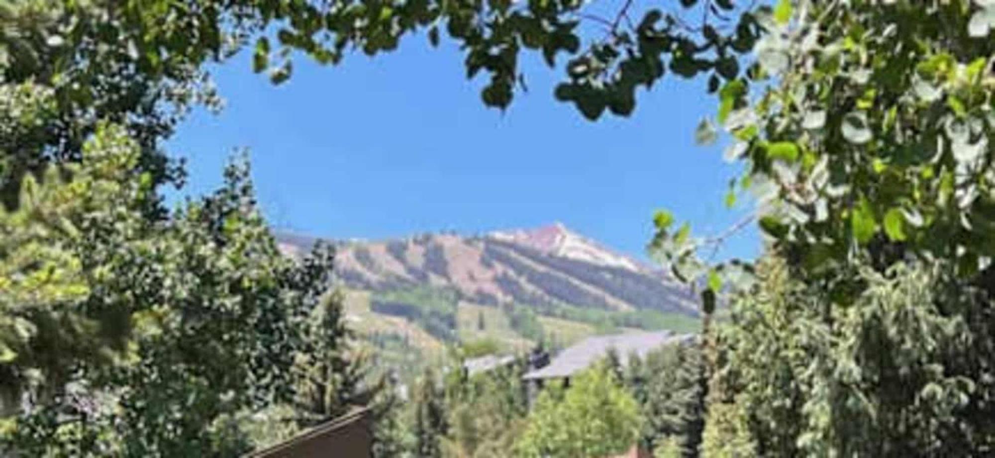 Apartment New Listing Just Renovated 3br 3ba *
