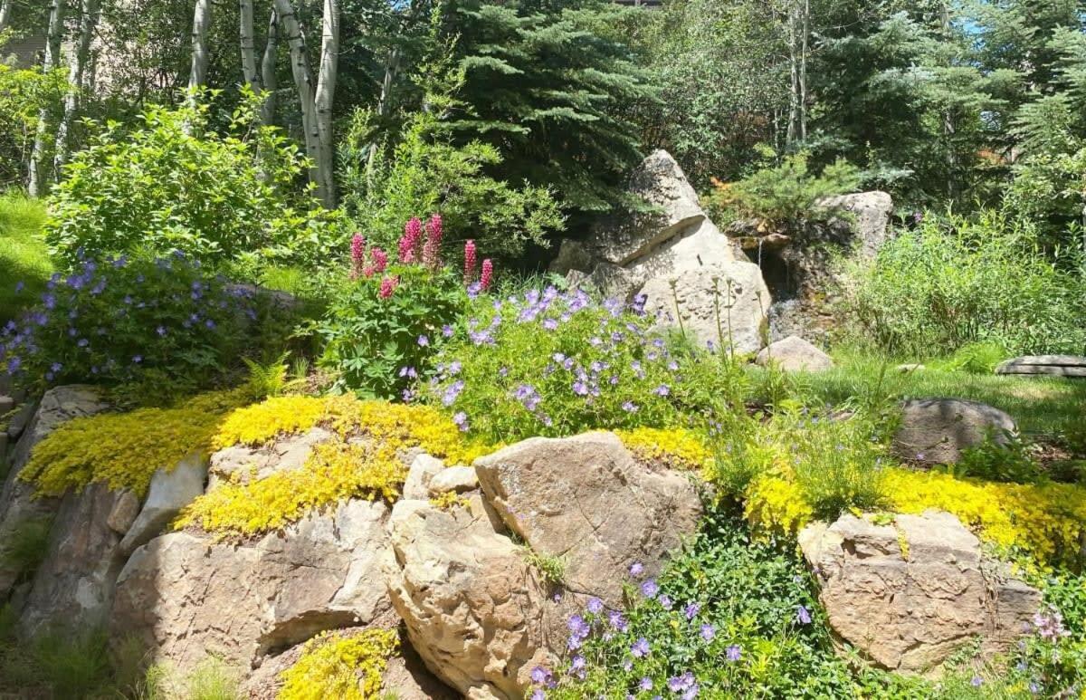 3 Bedroom Penthouse With Hot-tub - Mountain Views! *