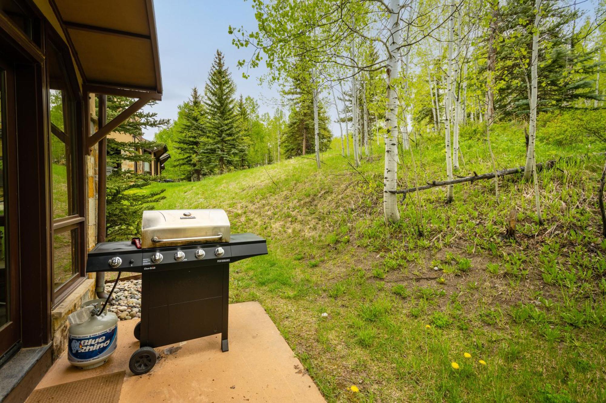 #31 Holiday home Snowmass Village