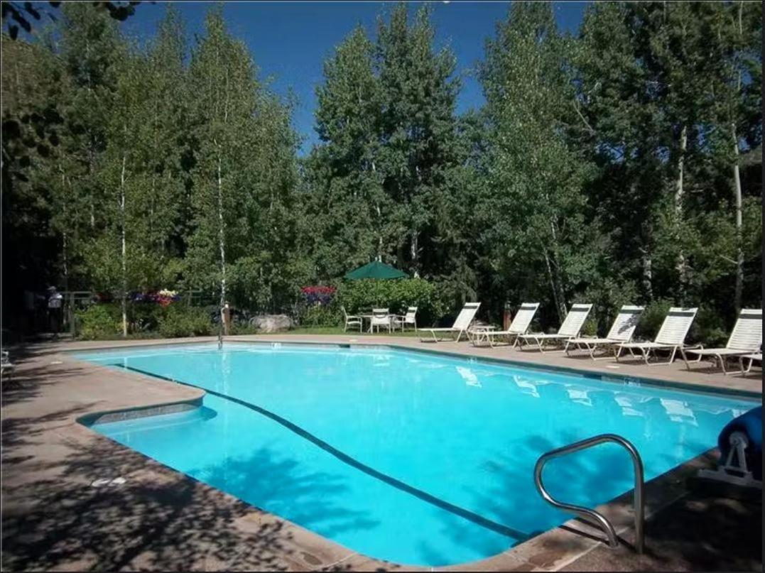 Enclave 306, Snowmass Ski-in/ski-out W/shared Pool/hot Tub *