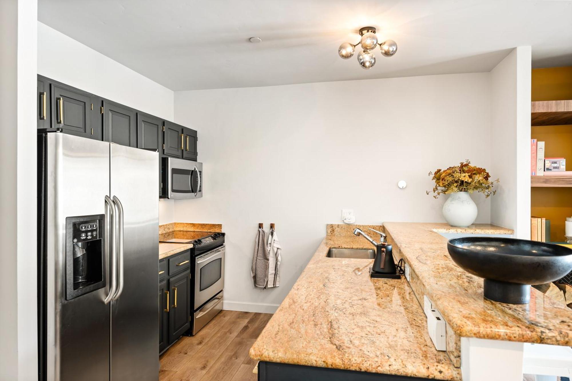 Chamonix 40, Snowmass Ski-in/ski-out W/shared Pool & Hot Tub/free Wifi Holiday home *