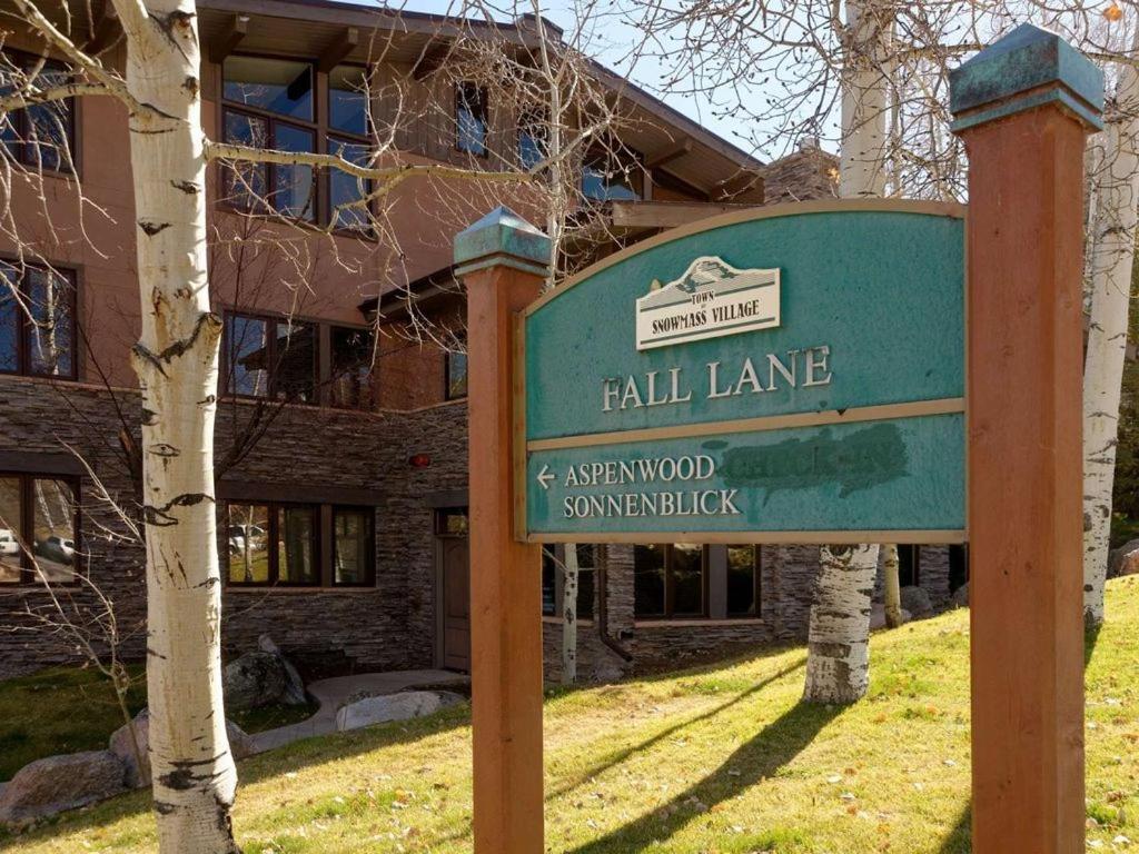 Bluebird Basecamp Family-Friendly Alpine Retreat * Snowmass Village