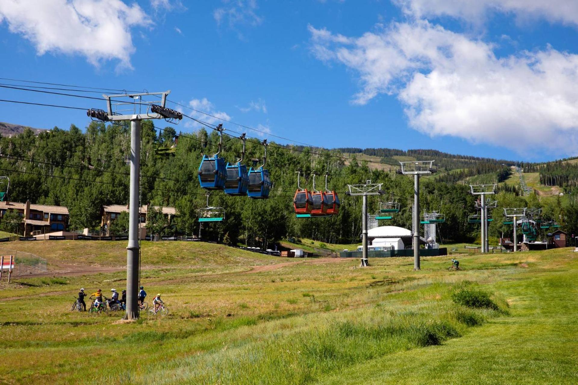 Lichenhearth 8 * Snowmass Village