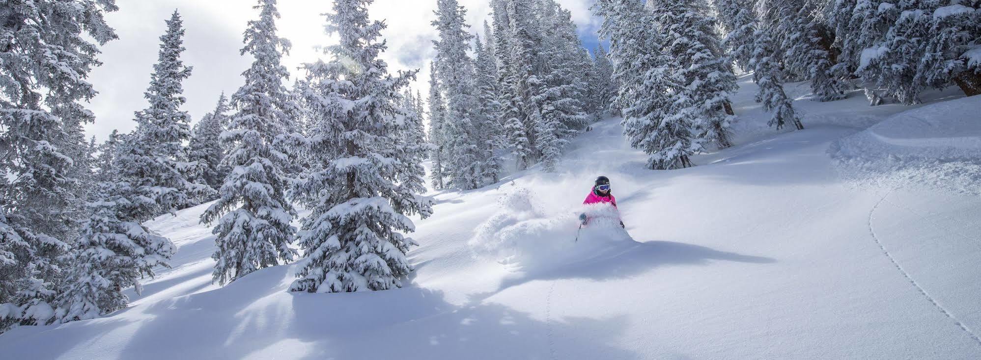 Hotel Wildwood Snowmass Snowmass Village