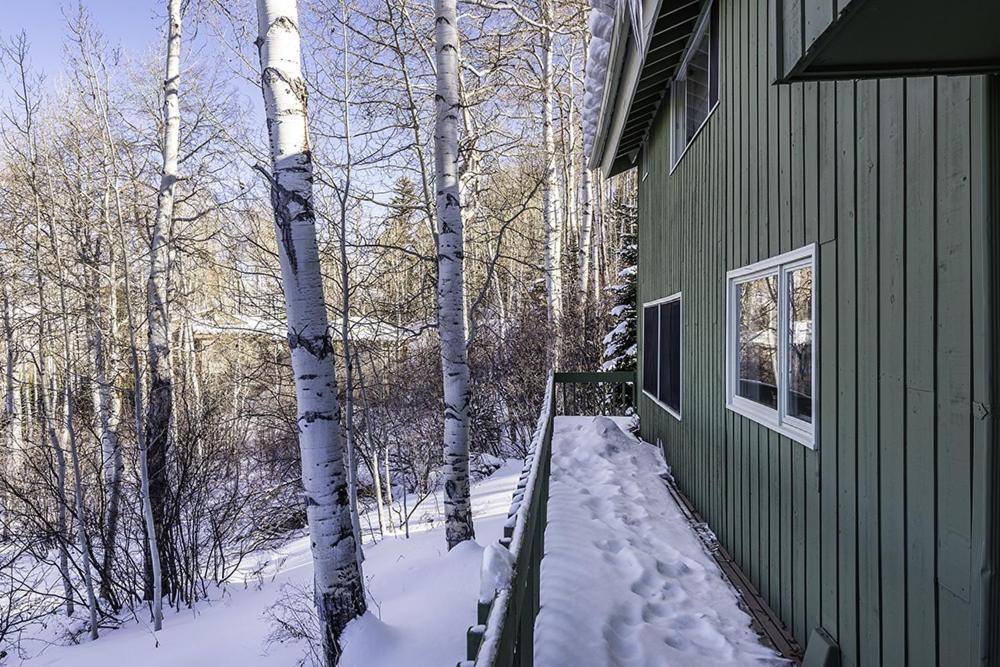 921 Faraway Snowmass Village