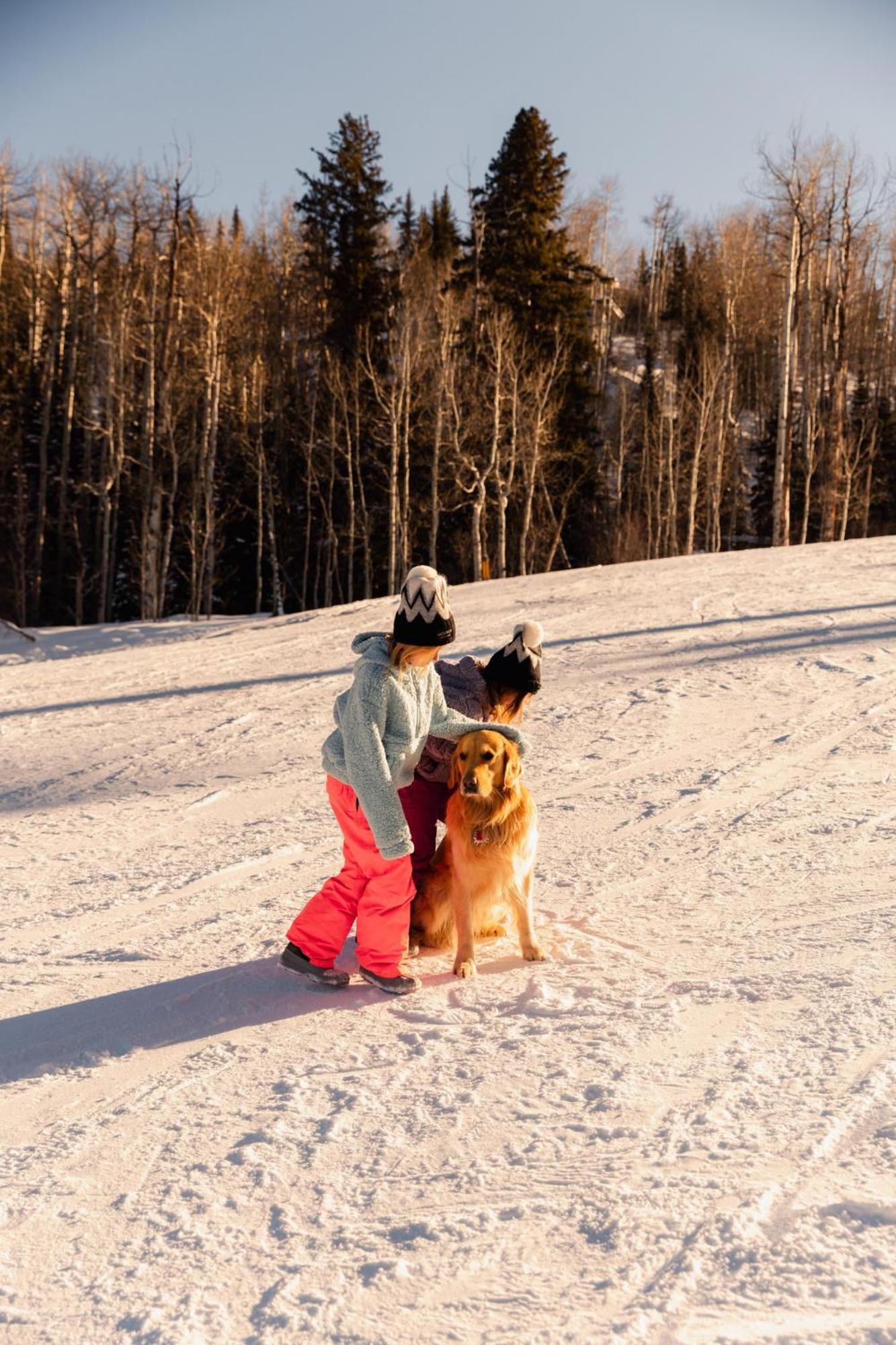 Resort Viceroy Snowmass 5*